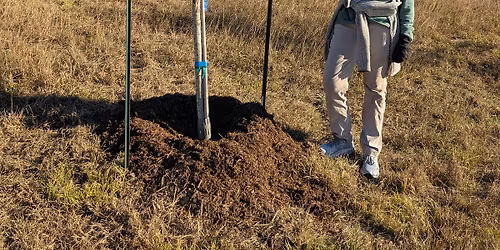 National Public Lands Day VolunBEERing