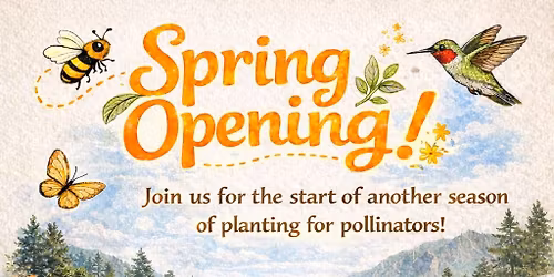 Spring Opening 2026 - Plants for Pollinators