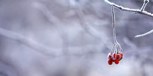 Caf\u00e9 mortel - Hiver 2026