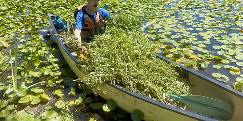 Water Weeds 101: Hands-On Workshop for Identifying Aquatic Plants