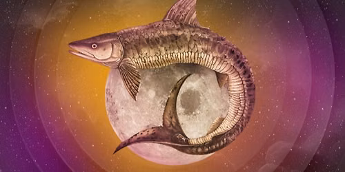 Full Sturgeon Moon Triple-Gong Meditation with Diane Hancock