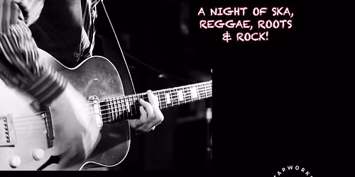 Stephen Vogler Live @ Tapworks