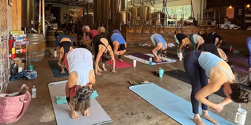 Yoga on Tap at Shellring Ale Works