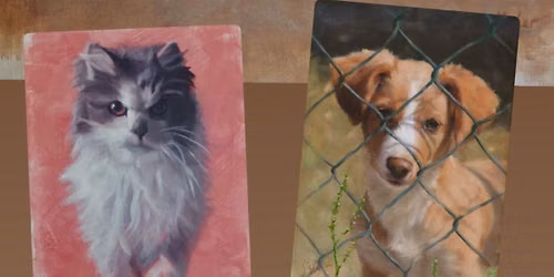 A day of Art and Animals with Catherine Hafer and Bajah\u2019s Cat Cafe