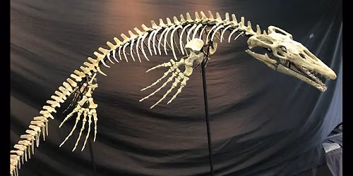 Prehistoric Sea Monsters