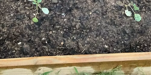 The Ville Family Garden Planting Day