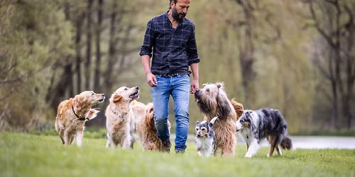 Sami El Ayachi - Der zugewandte Hund!