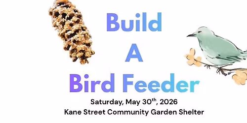 Build A Bird Feeder