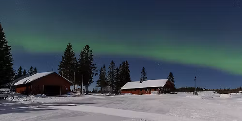 2026 Hamar Hundekj\u00f8refestival