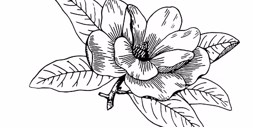 Small Business Saturday 