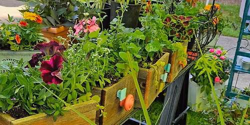 Grand Opening - Store Front