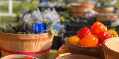 Oviedo Farmers Market