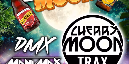 Kasteel To The Moon \ud83c\udf12