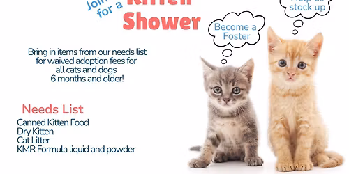 Open House- Kitten Shower