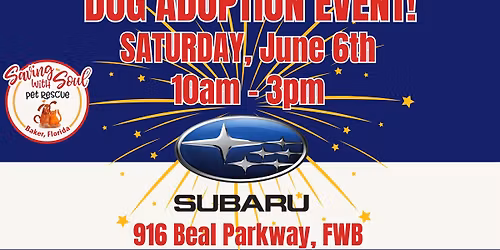 Dog Adoption Event @ Subaru in FWB!