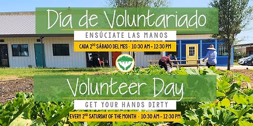 Volunteer Day - Finca Tres Robles