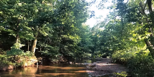 Caregiver Mindfulness Retreat 