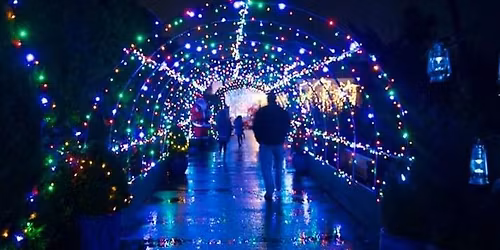 Magical Christmas Experience