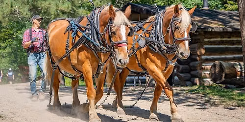 Real Horsepower!