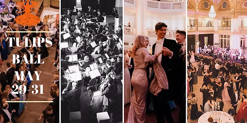 Tulips Ball \/ Tulpenbal 2026