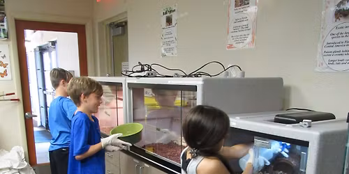 Animal Keeper for a Day