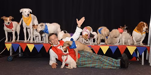 Johnny Peers & The Muttville Comix