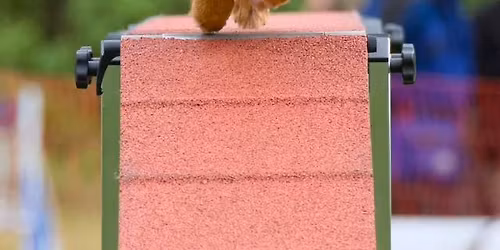 Trippel lag i Drøbak