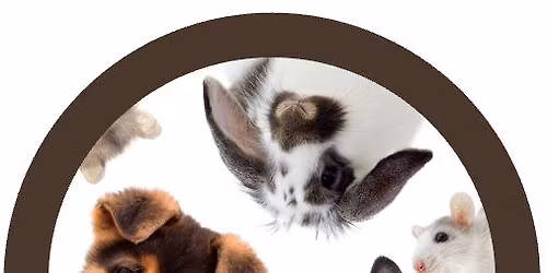 Flow for Good to benefit the Wisconsin Human Society-Door County!