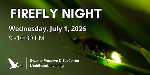 Firefly Night