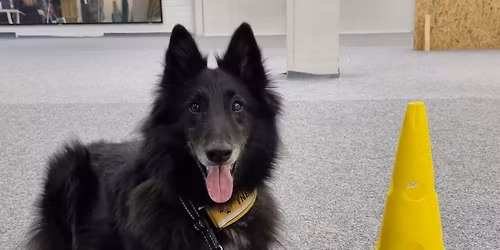 Rally-tokon koulutusp\u00e4iv\u00e4 10.1.2026