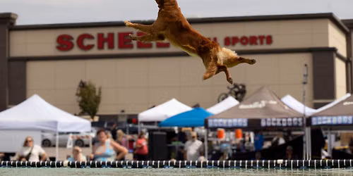 DockDogs\u00ae at Scheels Hunting Expo | Wichita, KS