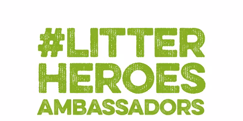 Tidy Event\/Litter Pick