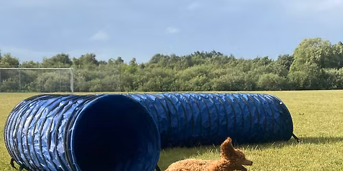 Bl\u00e5b\u00e6r st\u00e6vne \ud83e\uded0 