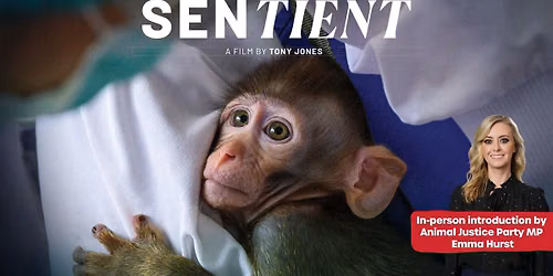 SENTIENT preview feat. Hon. Emma Hurst, MLC, Animal Justice Party NSW