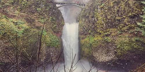 Wild Womxn Hike (Wahkeena to Multnomah Falls Loop)