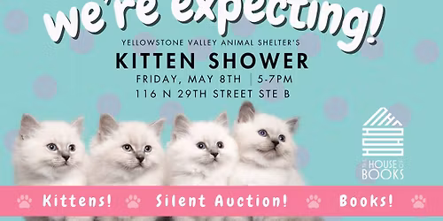2026 Kitten Shower!