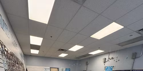 Pet Nail Trimming Saturday 8:30-3:30 $15