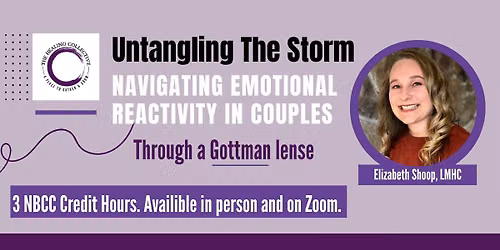 Untangling The Storm with Elizabeth Shoop, LMHC - Buy Now!