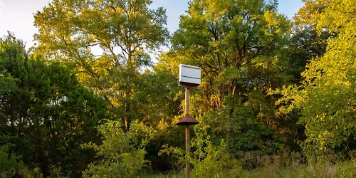 Hike at Great Hills Park
