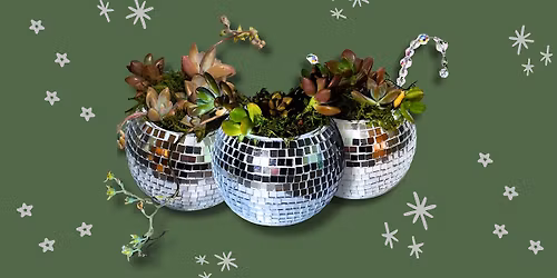 Craft and Sip: Make Your Own Disco Ball Planter With Succulents