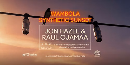 Jon Hazel & Raul Ojamaa | Wambola Synthetic Sunset