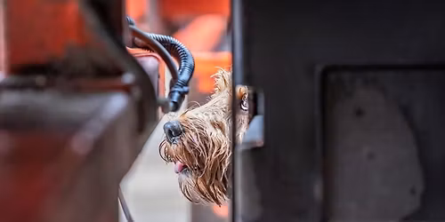 Paul Bunker & Santi Font Sports Detection weekend