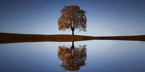 Natural Reflection | Trio Farben (flute, viola & harp) | Plus optional poetry walks