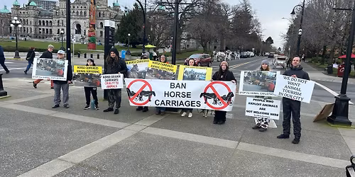 Ban Horse Carriages (Victoria Day!)