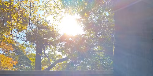 \u73fe\u4ee3\u30ec\u30a4\u30ad\u4ea4\u6d41\u4f1a