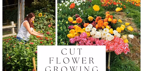 Flower Growing & Cutting Garden Workshop