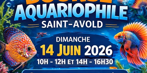 Bourse aquariophile de Saint-Avold