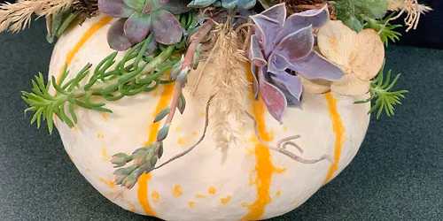 Pumpkin Succulent DIY Class!! ~BACK BY POPULAR DEMAND~**Saturday, October 3rd**