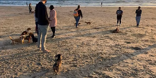 Weenie meetup at the beach 