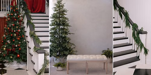 A Christmas Portrait Experience